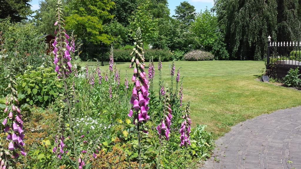 B&B Kasteel De WindtNieuwkerken-Waas エクステリア 写真